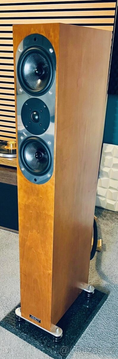 ASW genius reference 300 - 4