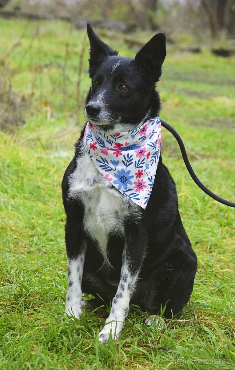 Naja hledá domov - 4