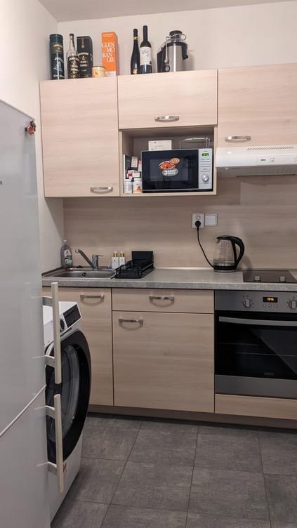 Pronájem zrekonstruované garsoniéry, centrum Olomouce - 4