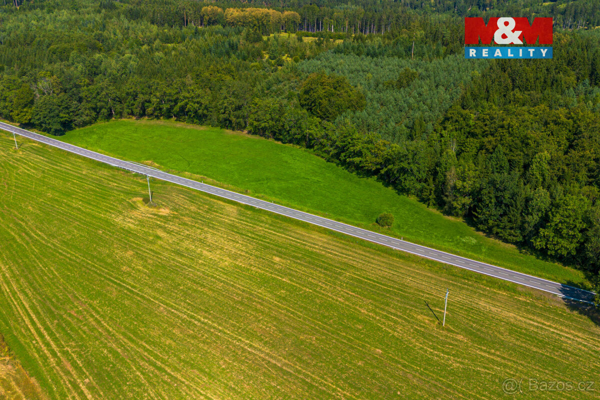 Prodej louky, 8721 m², Hracholusky - 4