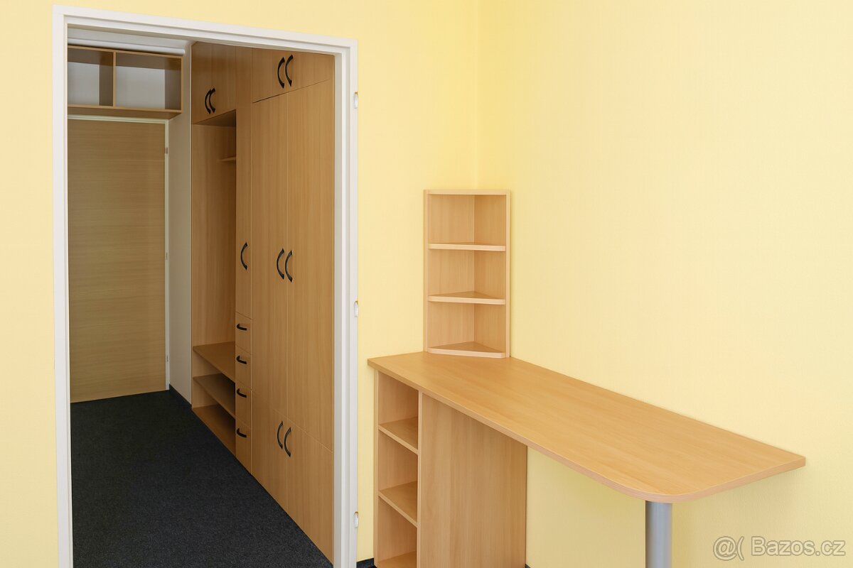 Pronájem bytu 1+1,Štefánikova, Zlín - 4