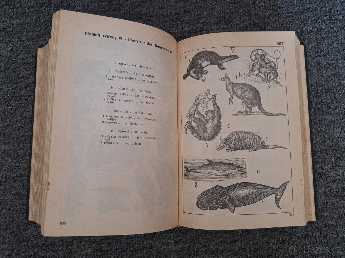 Nový Orbis Pictus - 4