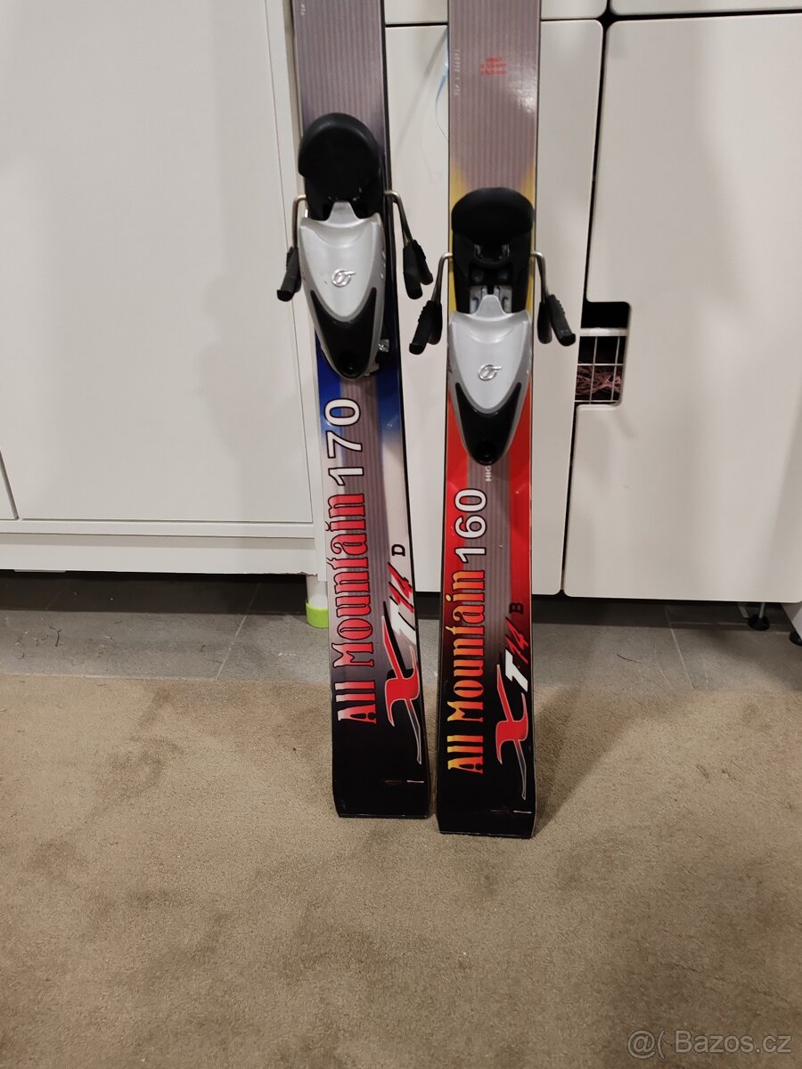 Lyže Pale 170 cm - 4