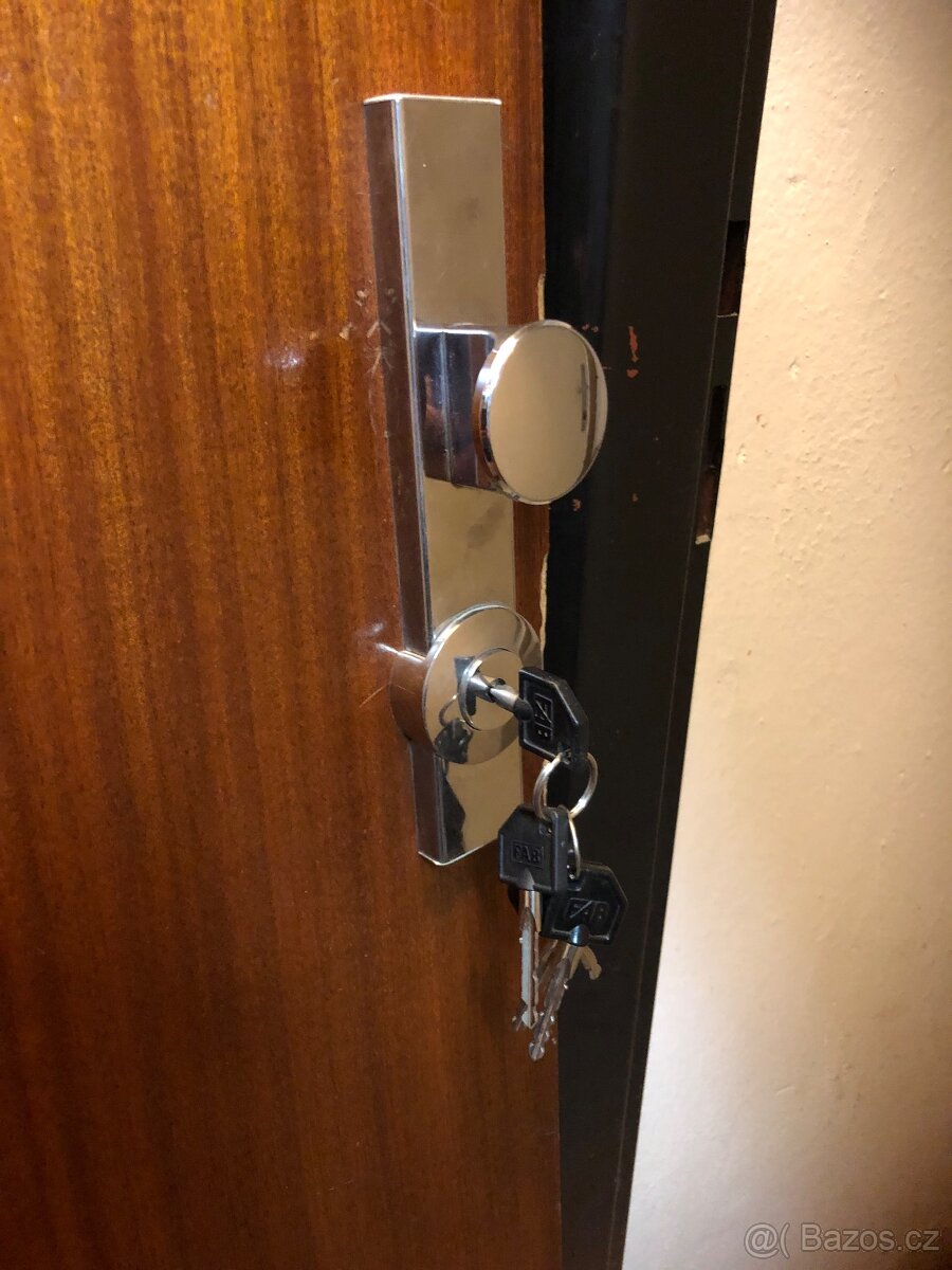 Vchodové dvéře - 4