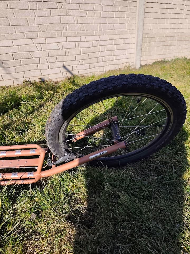 Koloběžka kostka mushing - 4