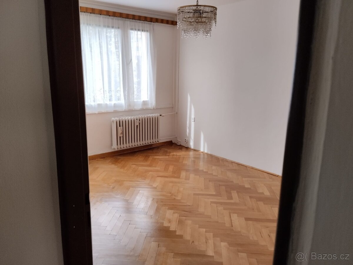 Prodej bytu 2+1Jindřichův Hradec - 4