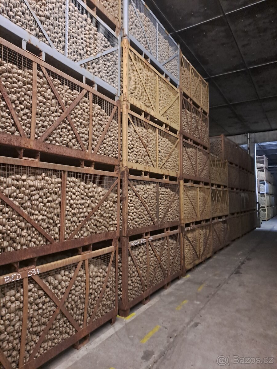 Brambory a cibule - 4