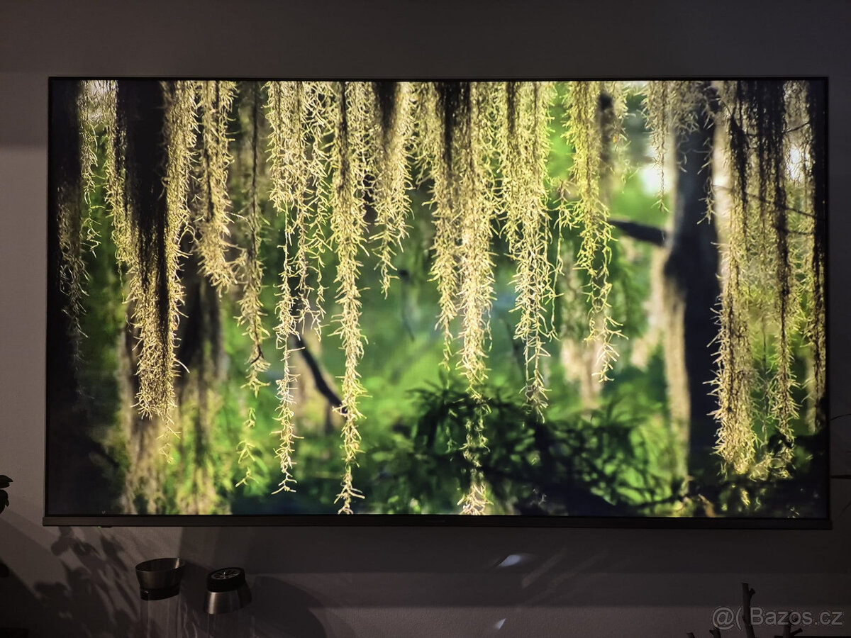 Televize Panasonic 65" - 4