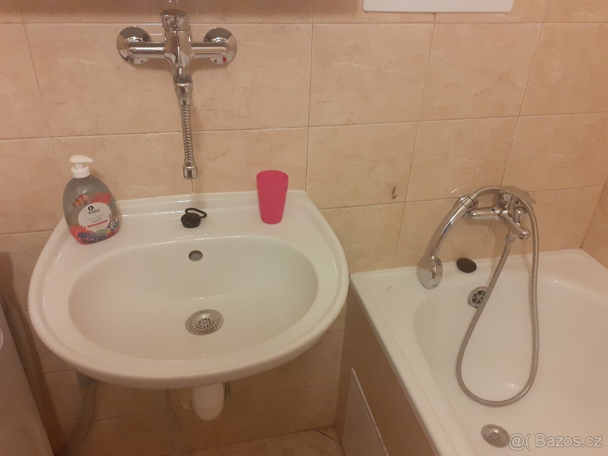 Prostorný a krásný byt ve Vysočanech - 4