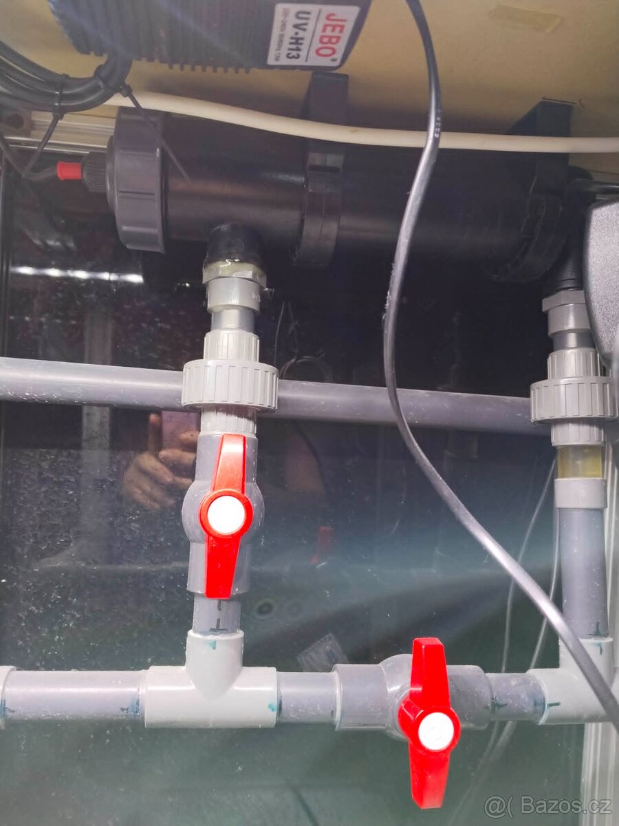 Mořské akvárium - 4