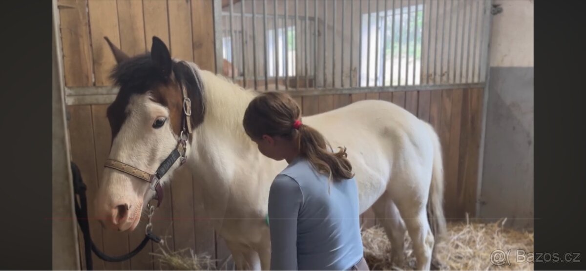 Hodný pony klisna pro děti - 4