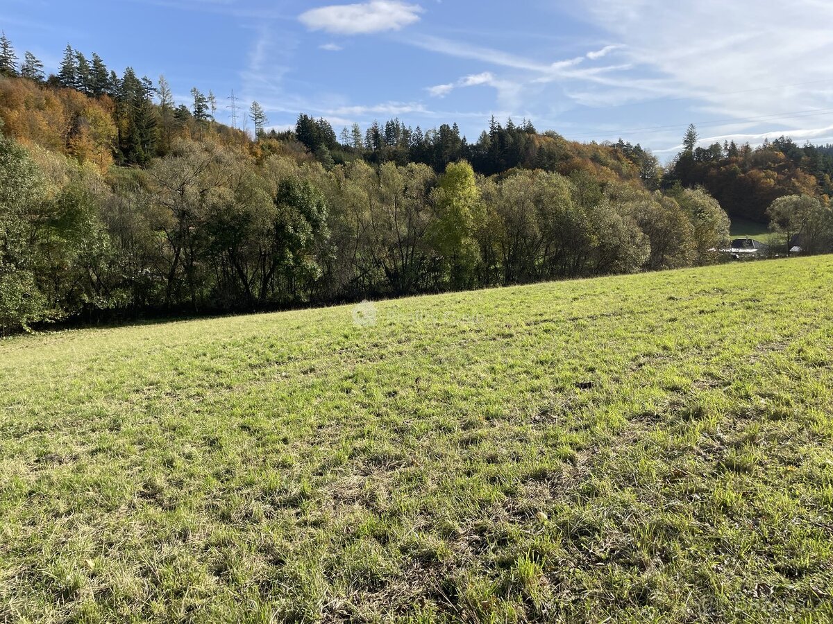 Prodej pozemku Liptál u Vsetína - 4