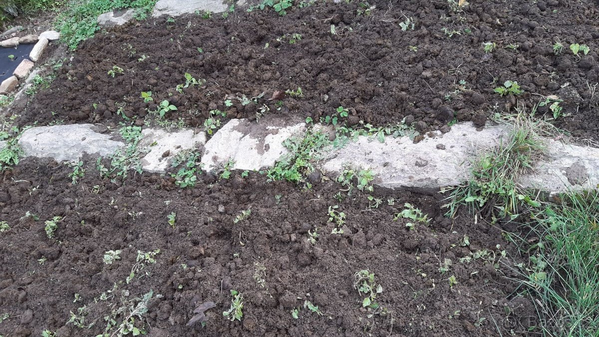 Kvalitní koňský hnůj - 4