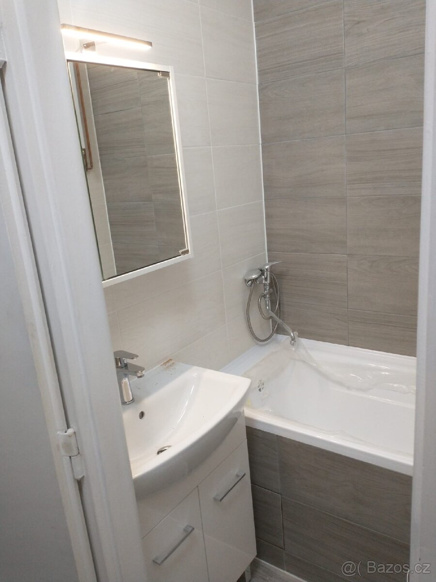Pronájem bytu 1+1 - 4
