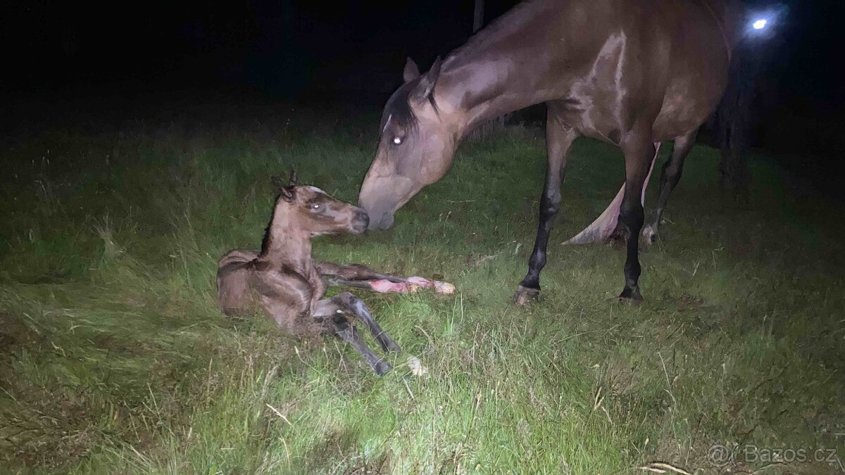 Plavák po Candarco - 4