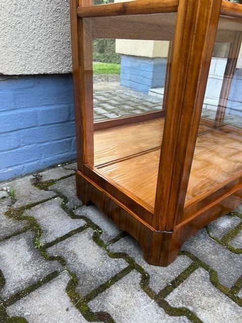 Skleník biedermeier - originál po renovaci. - 4