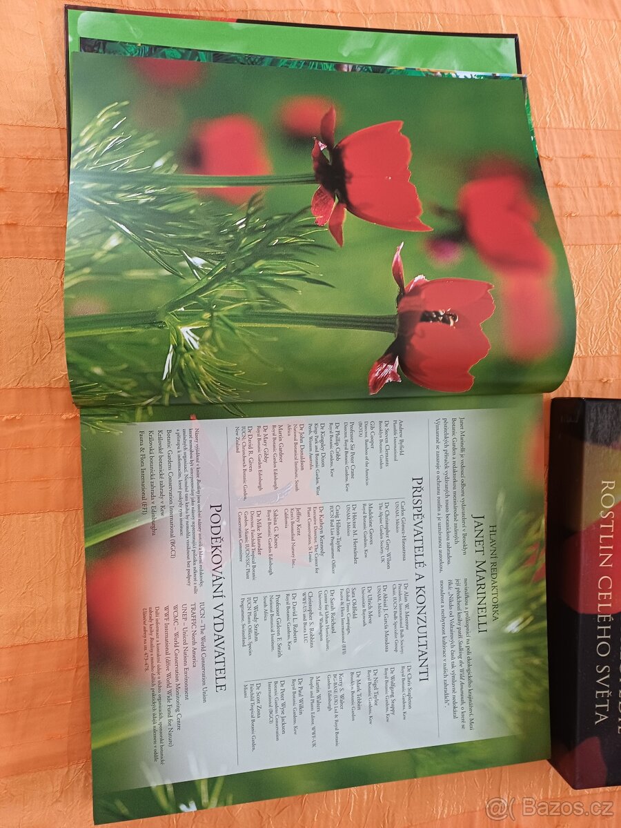 Rostliny-. NOVÁ - 4