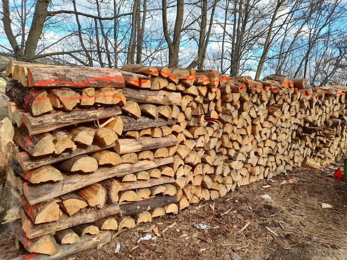 palivové dřevo - 4
