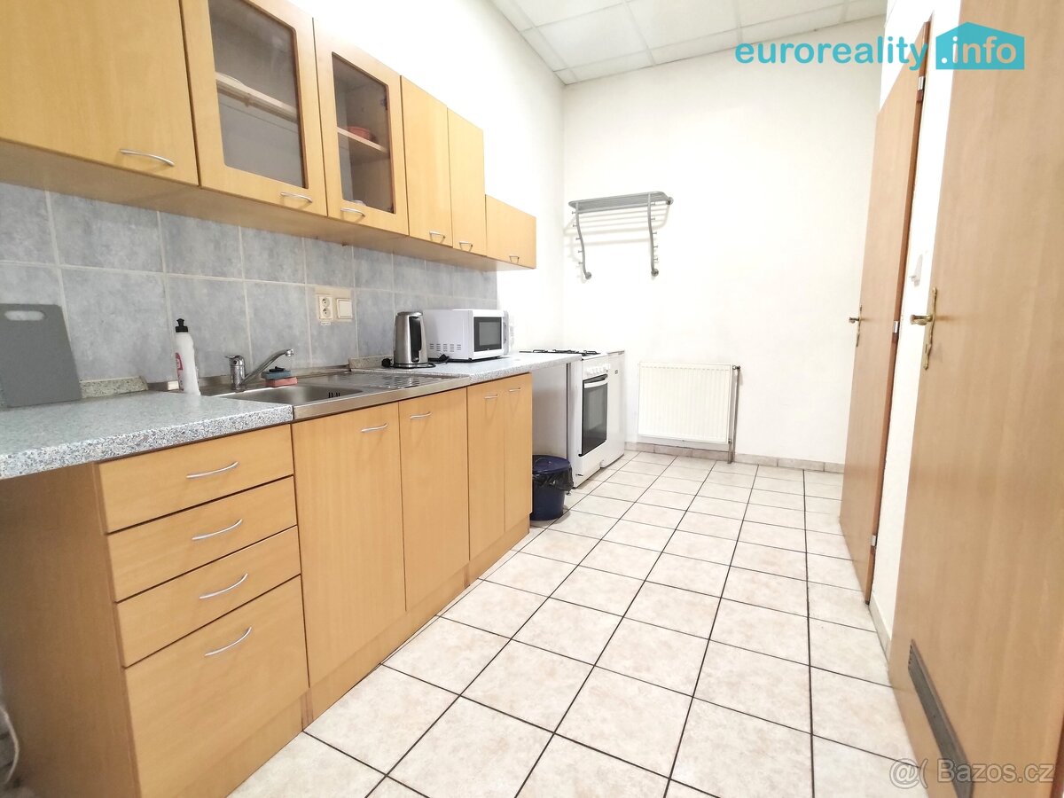 Pronájem, byt 2+1, 55 m2, Plzeň, ul. Lindauerova - 4