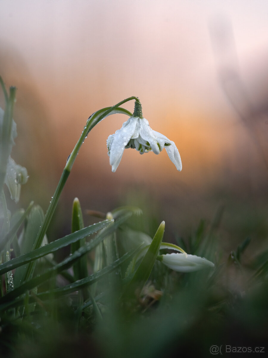 Prakticar 135/3,5 PB - 4