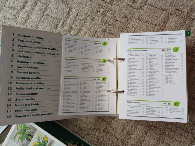 Pokojové květiny od A do Z - 4