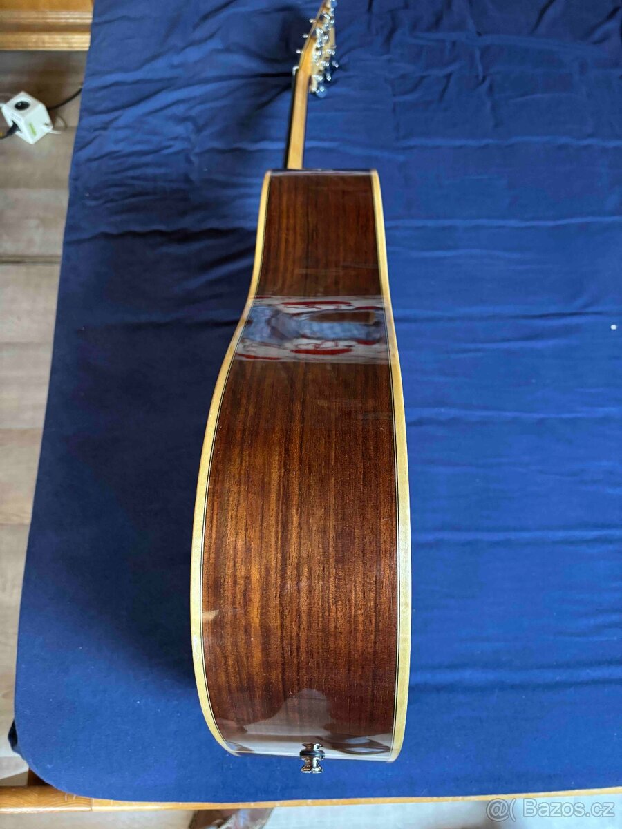 Kytara Pavlů celo masiv Cedr - 4