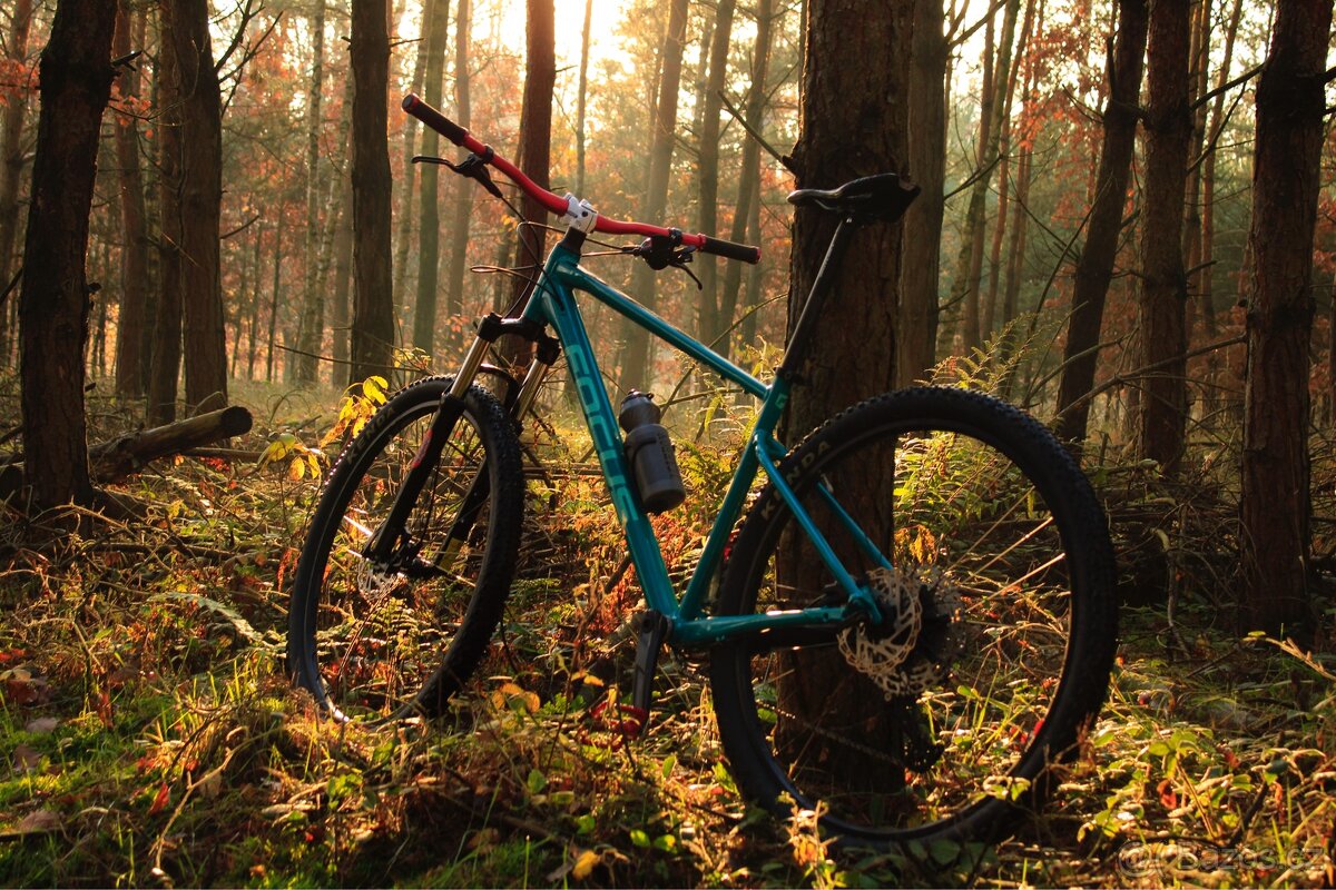 Focus Whistler 29 - 4