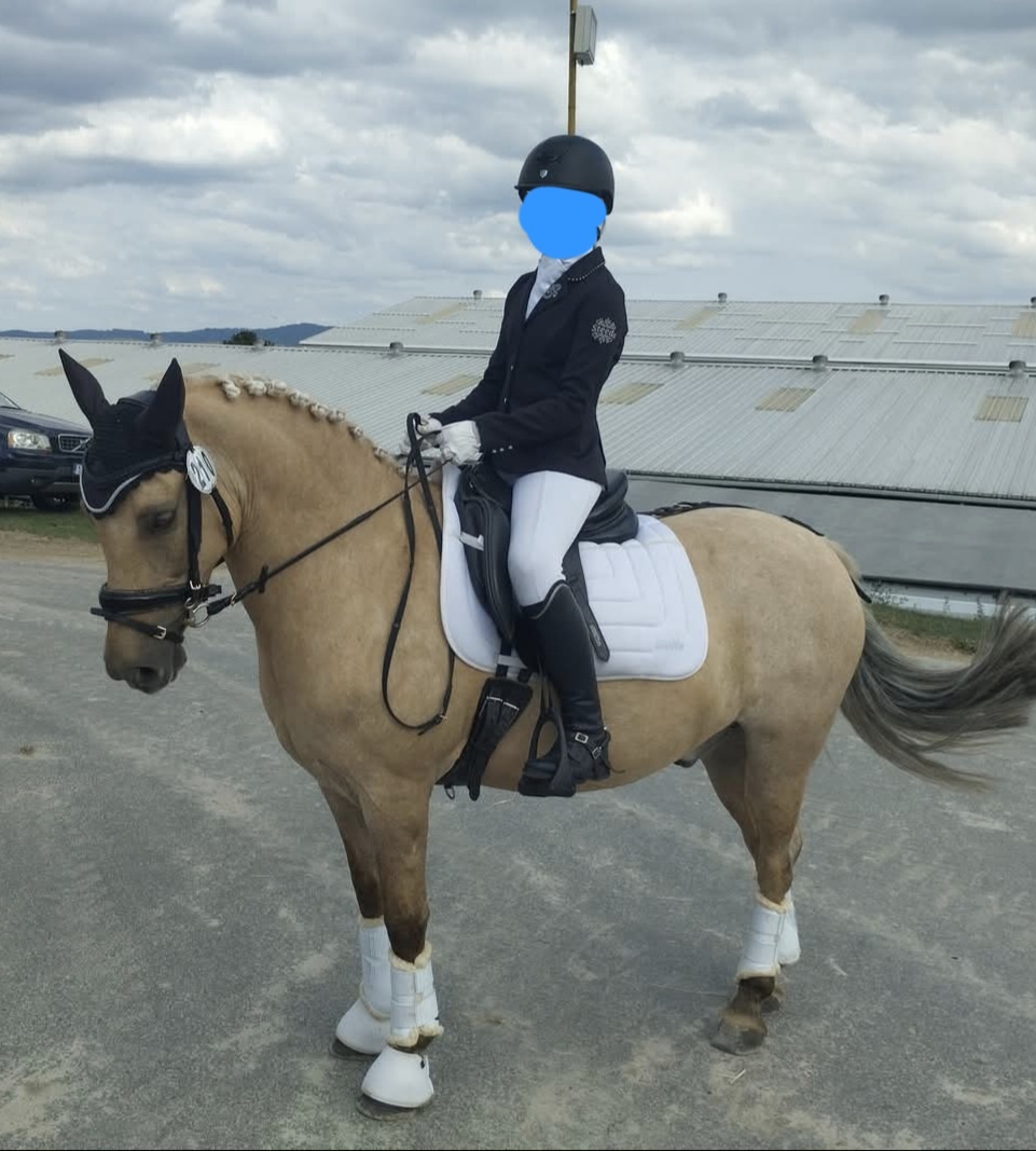 Drezurní pony A - 4