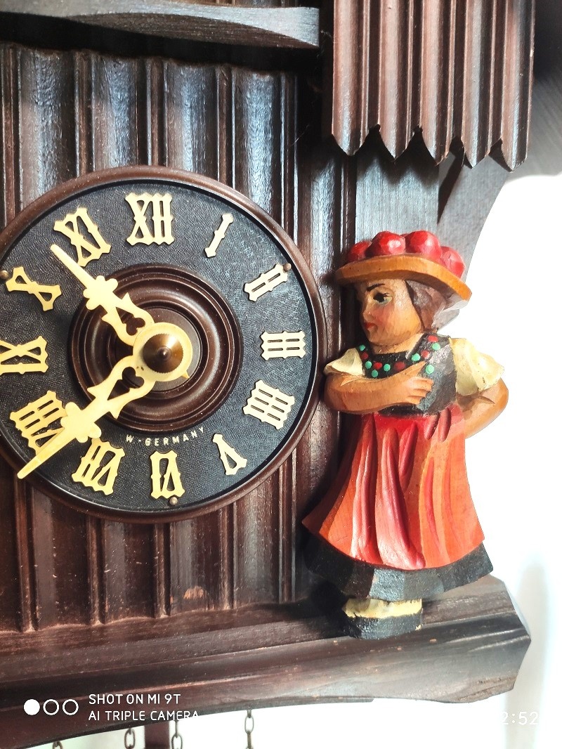 Starsi, kukacky, Schwarzwald, funkcni - 4