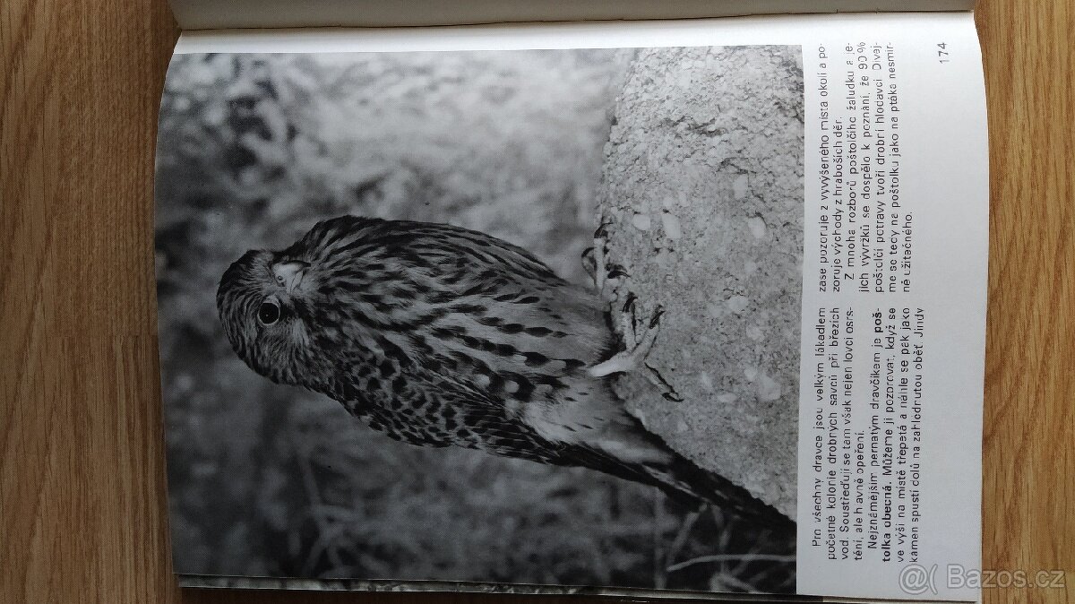 Kniha Seznámení u vody - 4