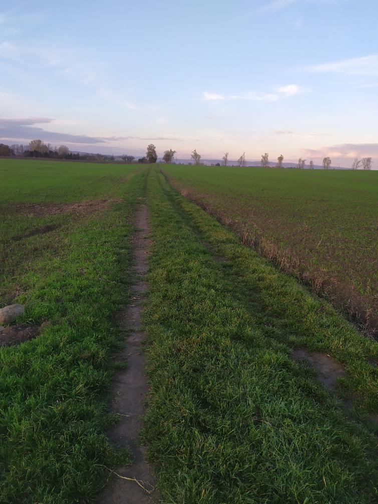 Pozemek Kobylnice u Brna - 4