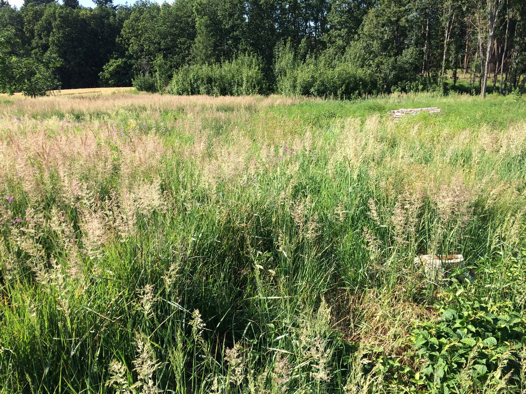 Pronájem pozemku (zahrady, louky) u Dolan, Jaroměř - 4