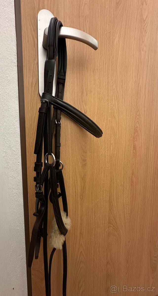 Uzdečka Equestro cob - 4