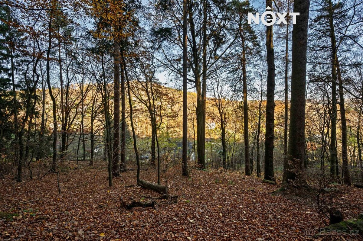 Prodej pozemek Bydlení, 3487㎡ - 4