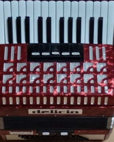 Harmonika akordeon delicia - 4