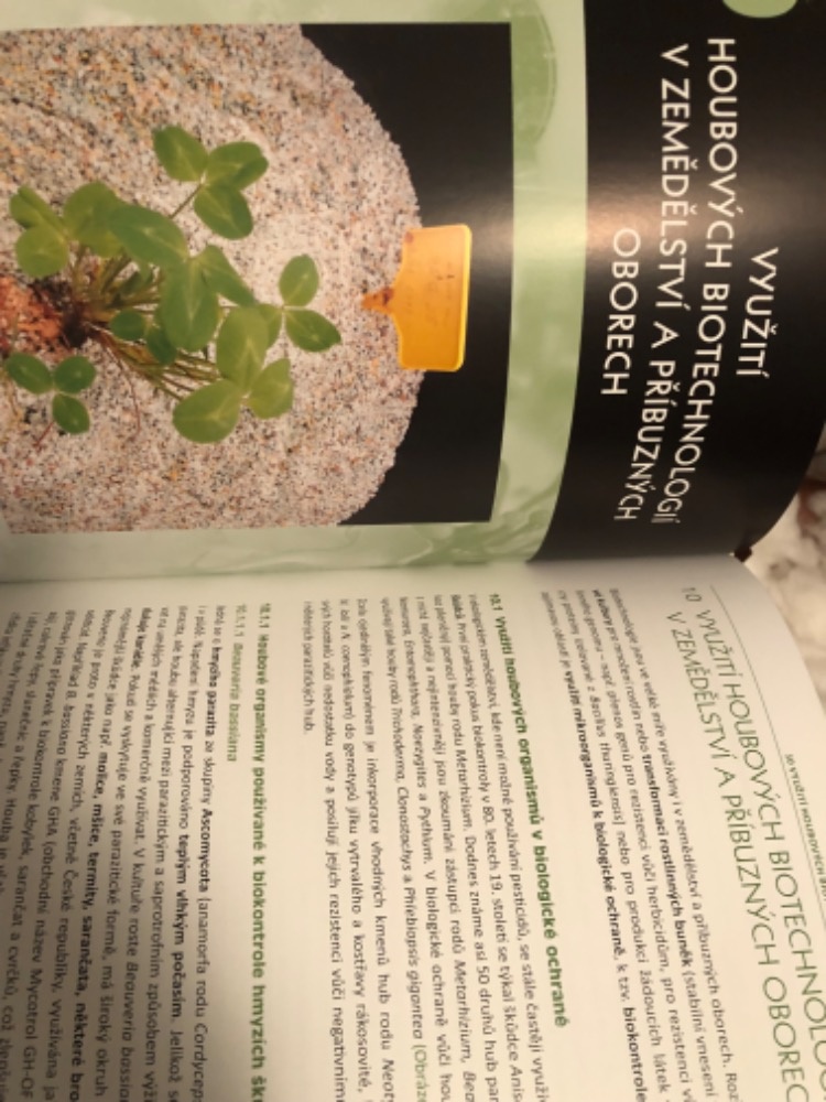 Houby -Biotechnologie - 4