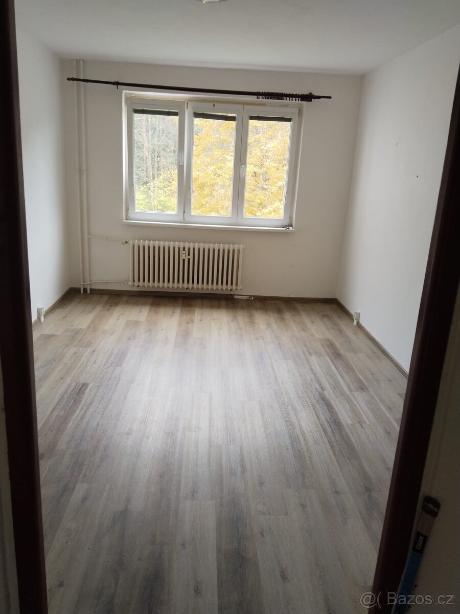 Prodám byt 2+1 Rotava - 4