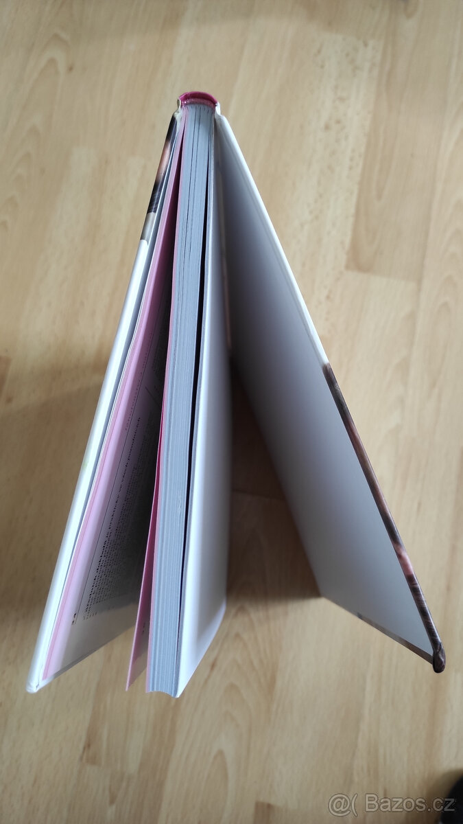 Nová česká kniha těhotenství a mateřství - Gregora Martin, V - 4