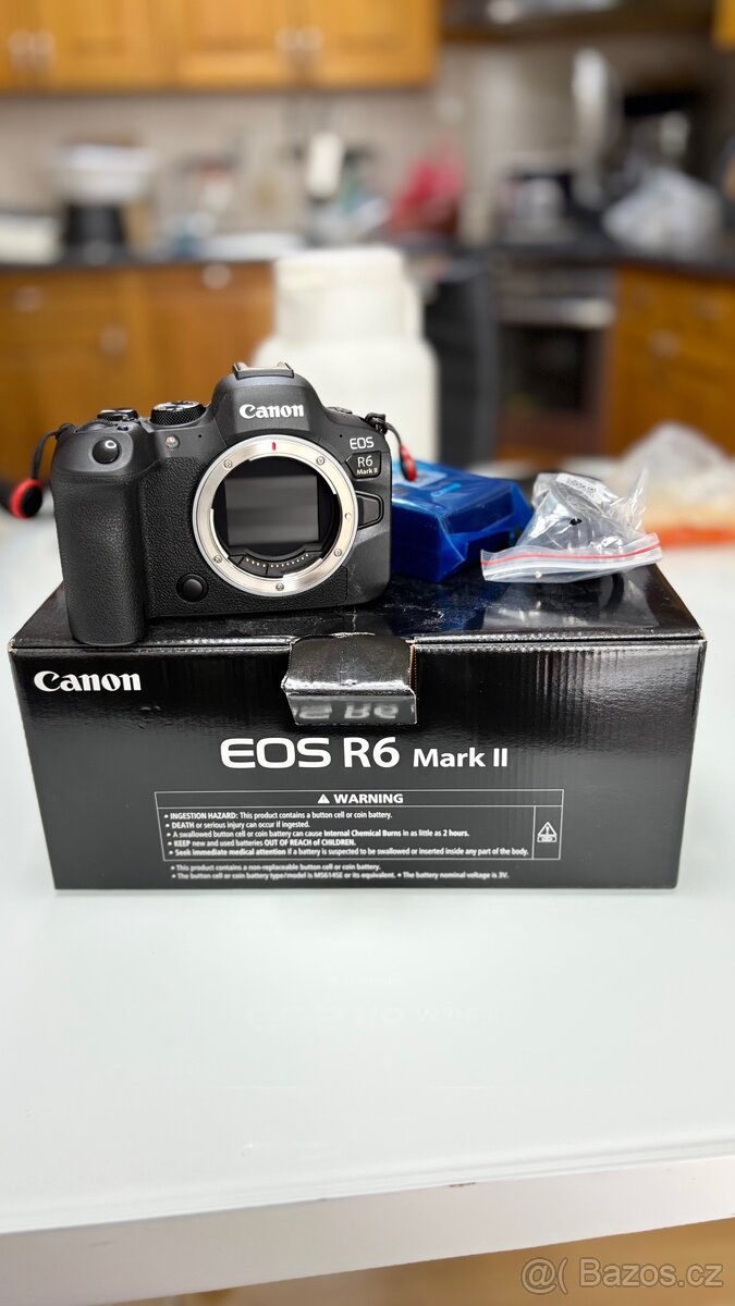 Canon EOS R6 Mark II - 4