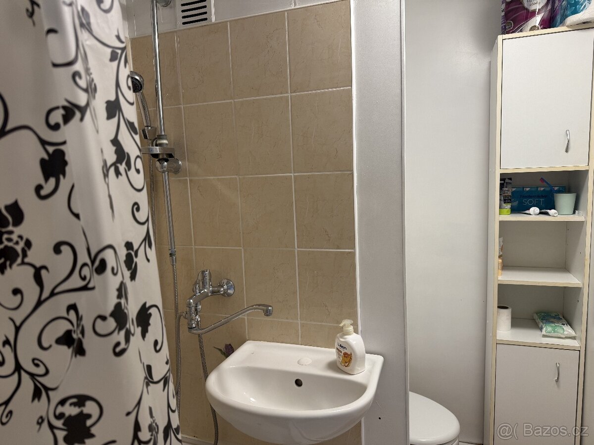 Pronájem bytu 1+1 (45 m²), flat to rent Brno, Fleischnerova - 4