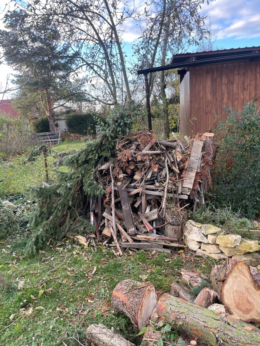 palivové dřevo - 4