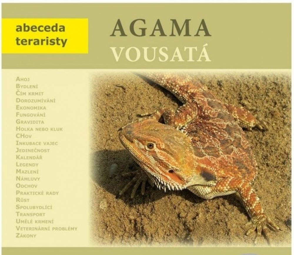 agama vousatá - 4