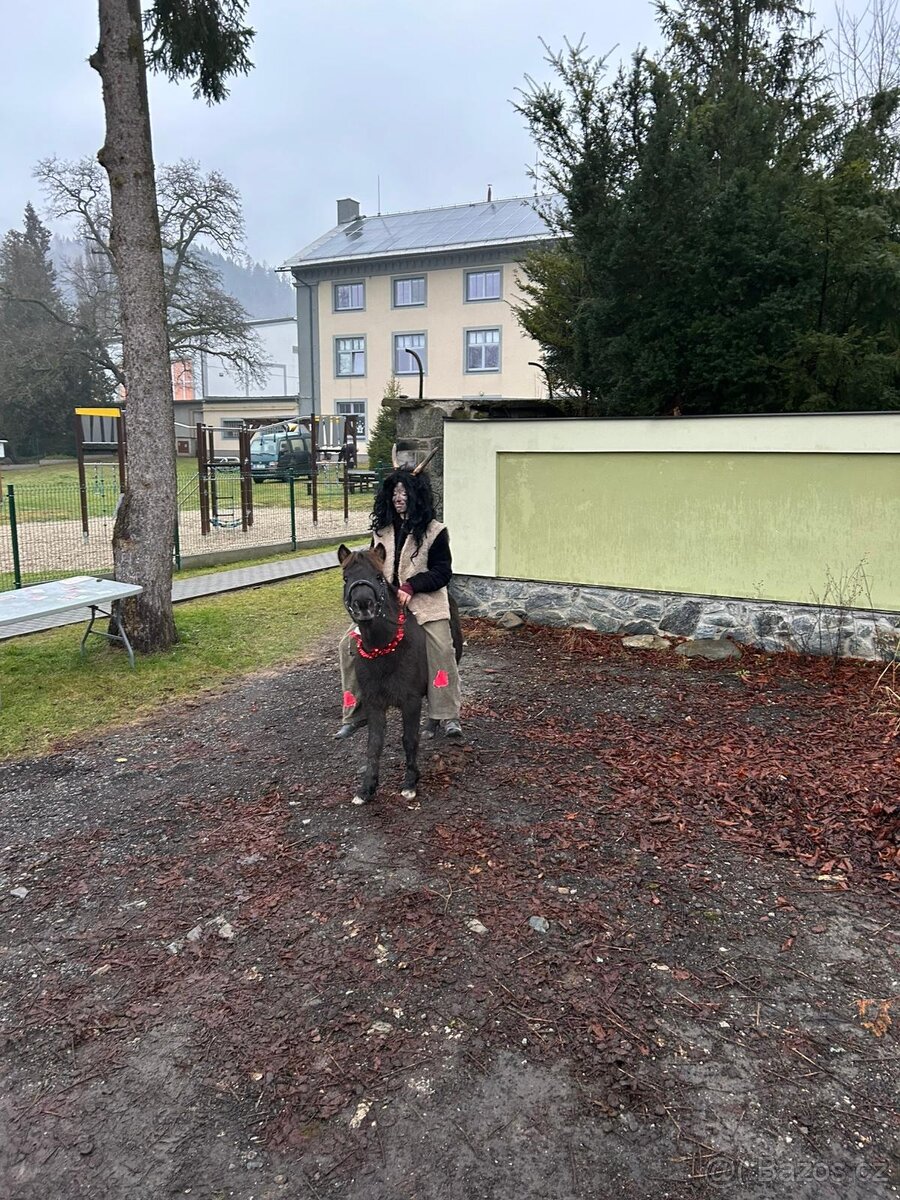 Tříletá slečna pony - 4