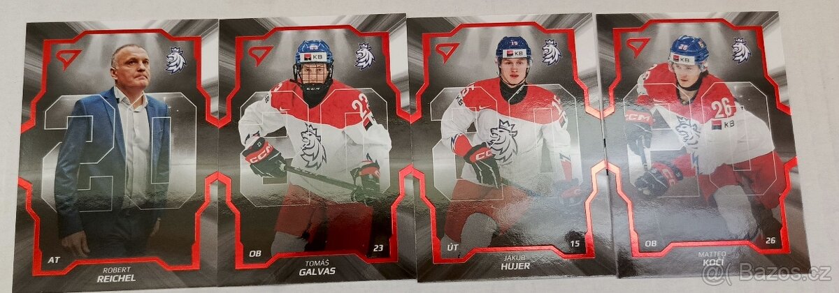 Hokejové Česko 2024 - 4