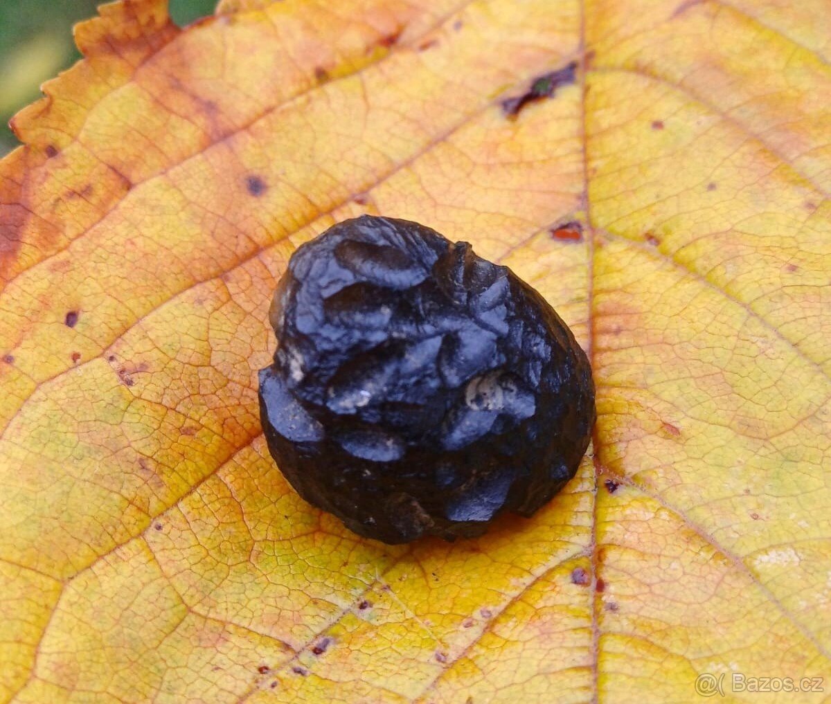 Vltavín - Morava - Skryje 4,8 g - 4