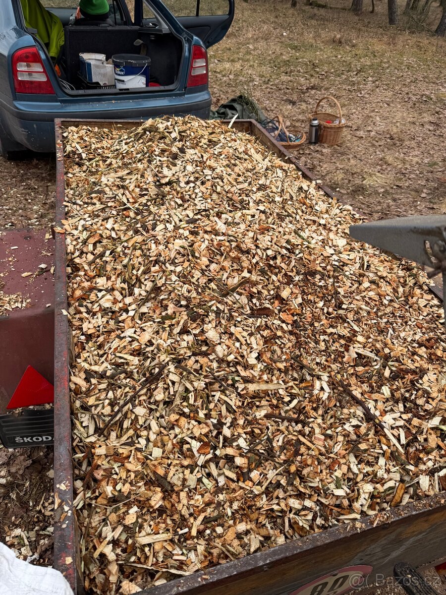 Drevni Stepka -Javor,Jasan - 4