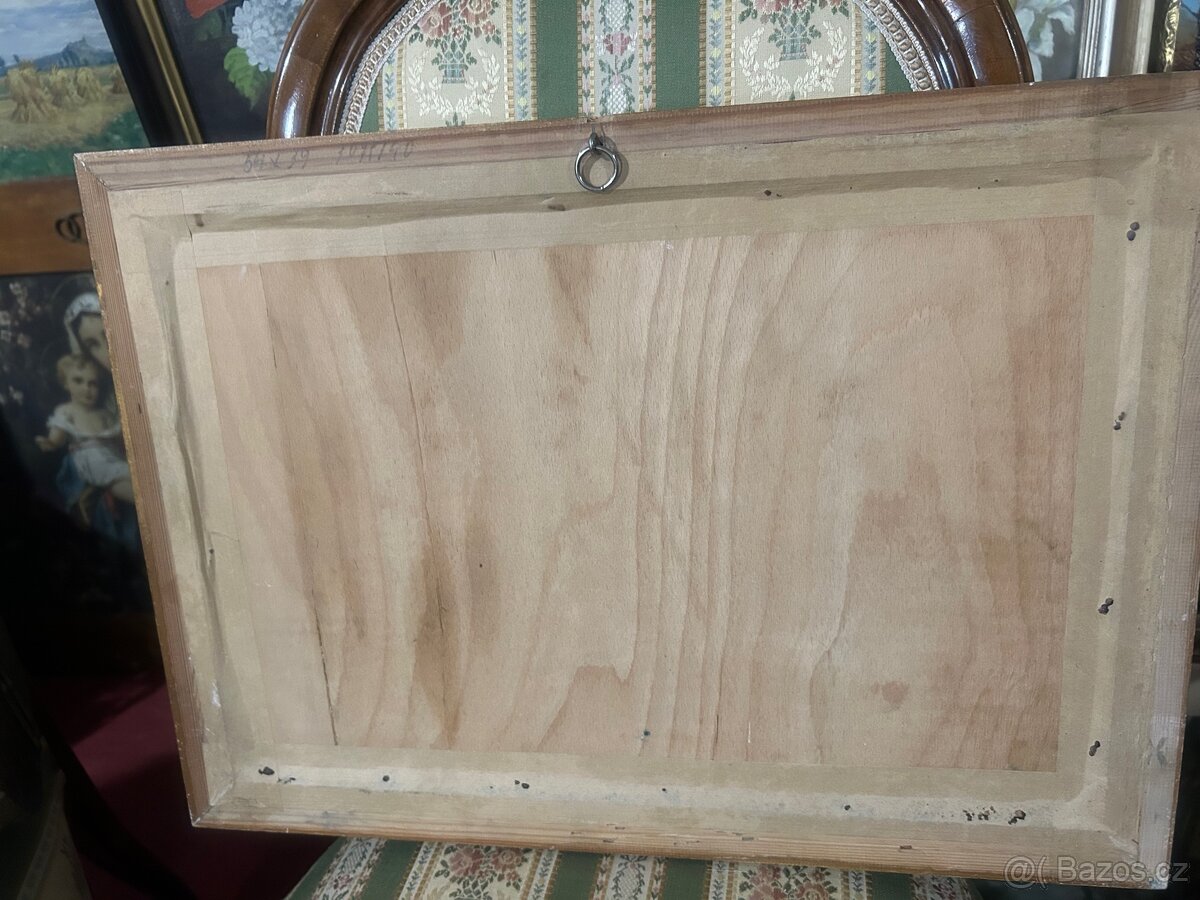 Malovaný obraz malíř Strnad - 4