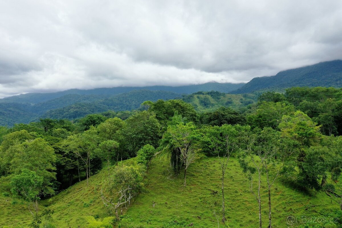 Farmy Kostarika Rio Claro - 4