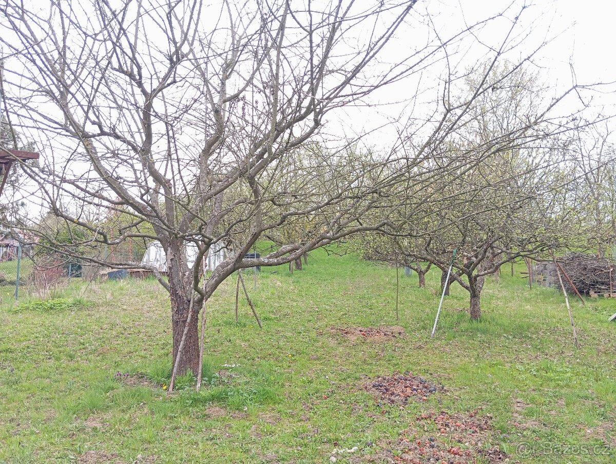 Chata se zahradou Uherský Brod - 4