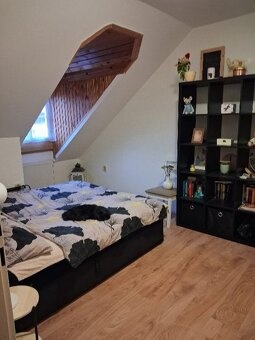 Pronájem bytu 3+KK - 4